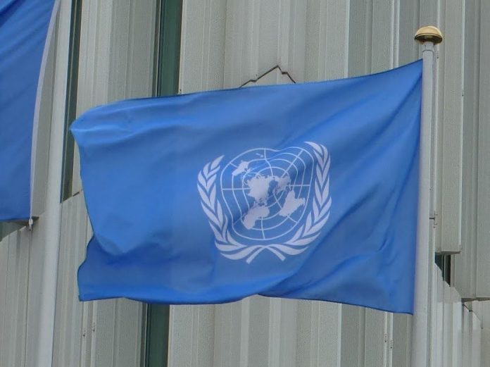 unnamed - 2025-06-05T133750.960