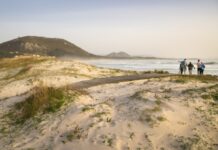 Boosting Algarve’s Economy: Coastal Hiking Route Draws Tourists and Revenue