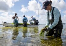Gulf of America Alliance Initiates 20 Economic-Boosting Projects for Gulf Coast