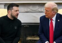 Trump Highlights Economic Discussions in Meetings with Zelenskyy and Netanyahu