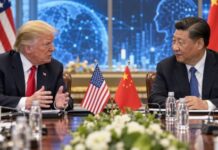 Trump and Xi Discuss AI Cooperation, Highlighting Need for Joint Efforts and Oversight